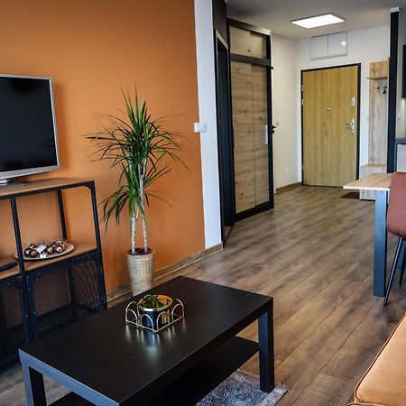 Apartament Ginger - Stare Miasto - Bezplatny Parking - Youtube Apartament Ginger We Wroclawiu Eksteriør billede
