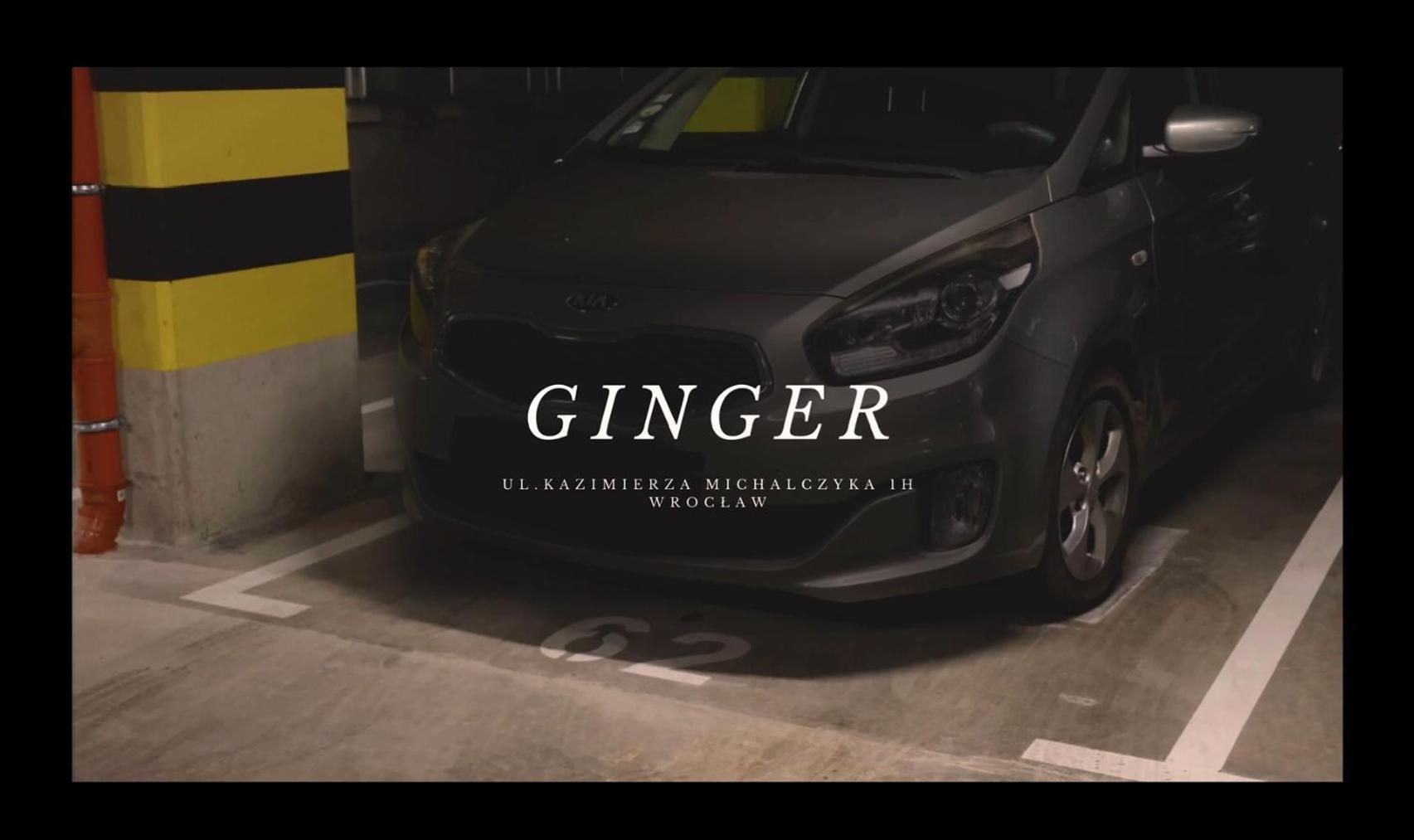 Apartament Ginger - Stare Miasto - Bezplatny Parking - Youtube Apartament Ginger We Wroclawiu Eksteriør billede